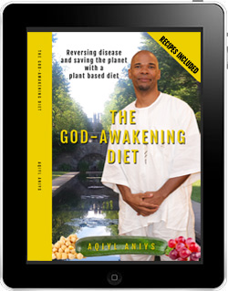 The God-Awakening Diet E-book
