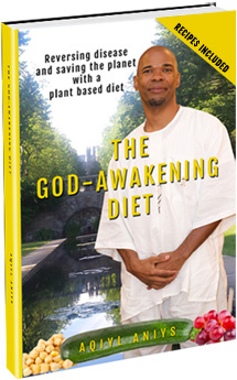 The God-Awakening Diet Paperback