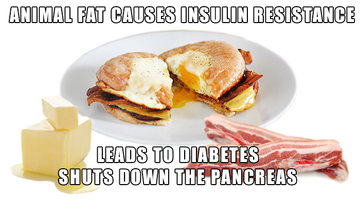 Animal Protein And Fat Shuts Down The Pancreas And Leads To Diabetes