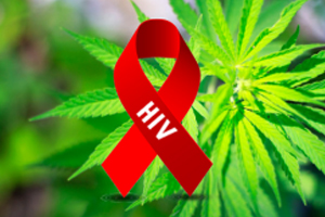 Cannabis Tetrahydrocannabinol THC Fights AIDS/HIV
