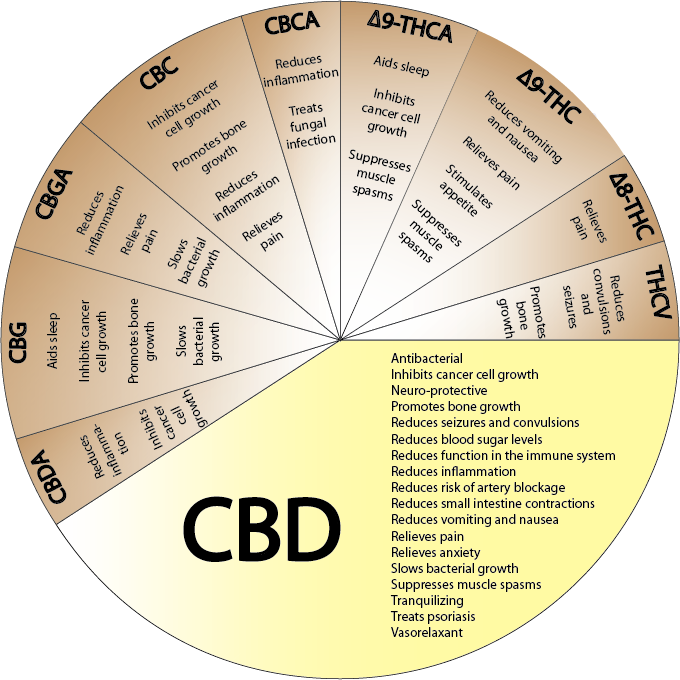 Cannabis Healing Components And Properties - Cannabis Cures