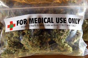 Top 10 Studies Of 2013 Proving That Cannabis Cures