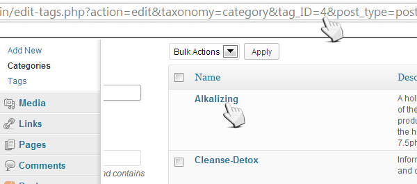 Exclude Categories From RSS Feeds In WordPress