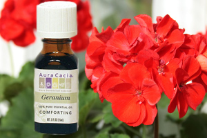 Benefits Of Essential Oils: Power Of Flowers