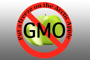 Corrupting Our Food Supply - Non Browning GMO Apples
