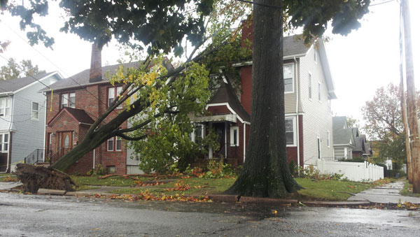 Hurricane Sandy - Tree Fell On A Neighbors House