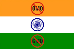 India's Parliamentary Panels Slams Environment Minister M Veerappa Moily For Allowing GMO Crop Trials