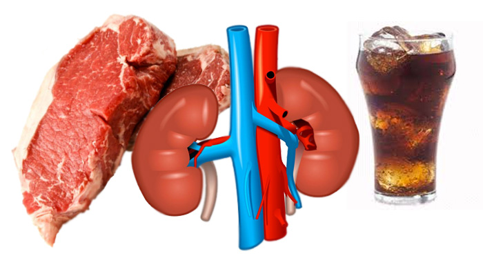Added Phosphates In Meat And Cola Compromise Kidney Function