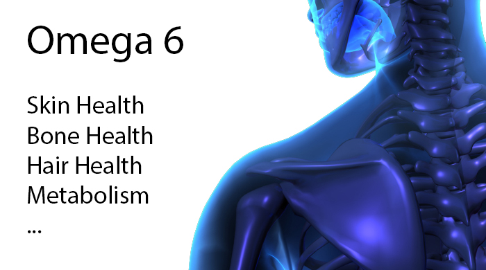 Omega-6 - Skin, Hair, Bone Health