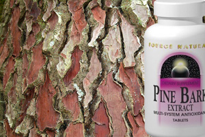 Pine Bark Extract Attacks HIV and HIV Replication 