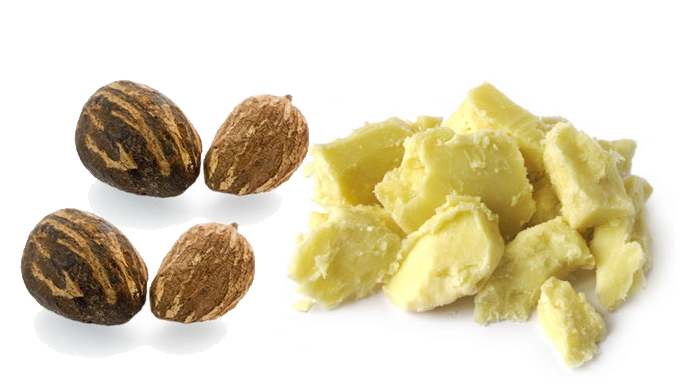 What Is Shea Butter? Shea Butter Benefits For Skin Care