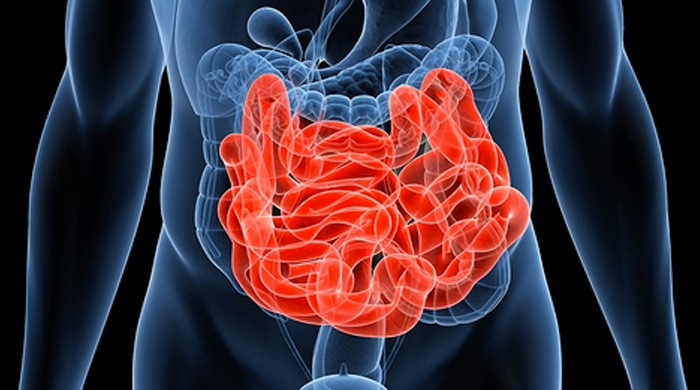 Small Intestine Cleanse Of SIBO And Mucus