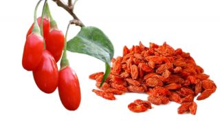Goji Berries: What Are Goji Berries And Their Benefits?