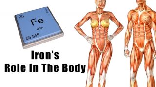 Iron's Role In The Body And Its Benefits