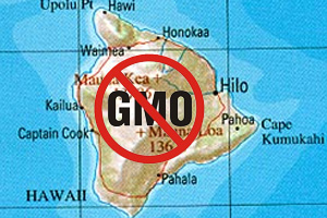 Hawaii Bans GMO Crops - Mayour Billy Kenoi Signs Bill