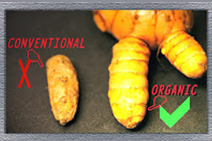 A Look At Organic Turmeric VS Conventional Turmeric