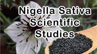 Nigella Sativa Scientific Studies – Black Seed – Black Cumin