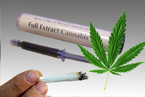 New York On Its Way Towards Legalizing Medical Marijuana Use