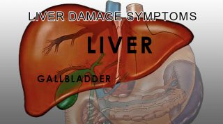 Liver Damage Symptoms