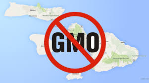 Hawaii's Maui County Sued by Monsanto and Dow For Protecting Its Land Against GMO Crops