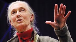 Dr. Jane Goodall Exposed GMO Dangers In Book Altered Genes & Twisted Truth