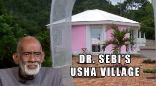 Review Of Dr. Sebi And His Products
