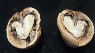 Protect Your Heart And Artery With Walnuts