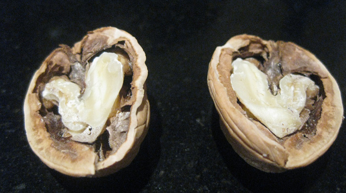 Protect  Your Heart And Artery With Walnuts