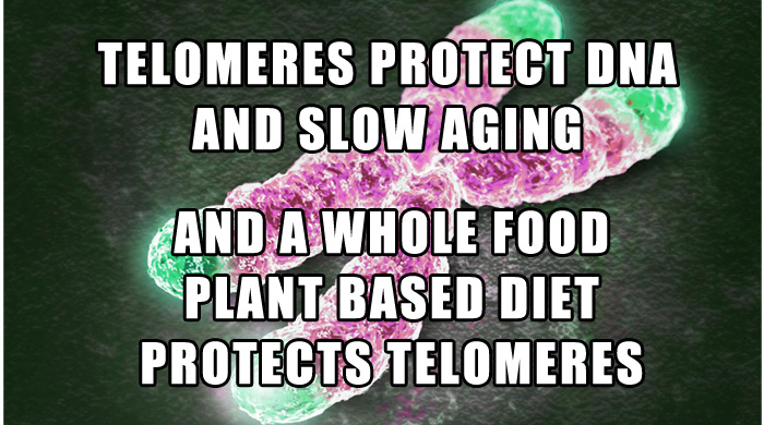 Telomeres And Aging - Slow Cellular Aging With A Plant Based Diet