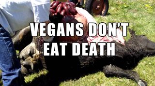 What Do Vegans Not Eat?