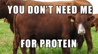 Protein Combining Myth And Plant Protein