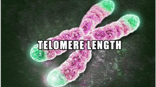 Telomere Length