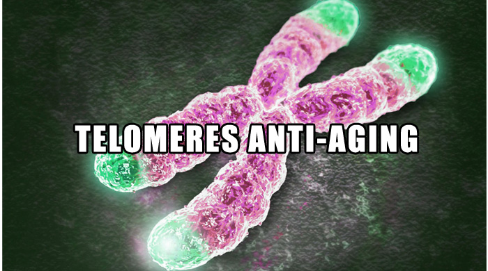 Telomeres Anti-Aging