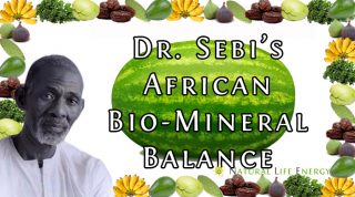 Dr. Sebi's African Bio Mineral Balance