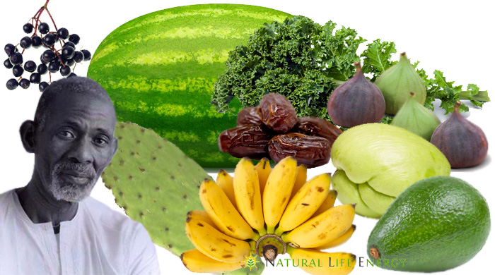 Dr. Sebi Nutritional Guide - Mucus Reducing Alkaline Diet