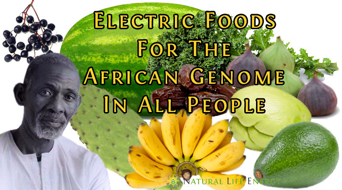 Electric Foods And Feeding The African Genome