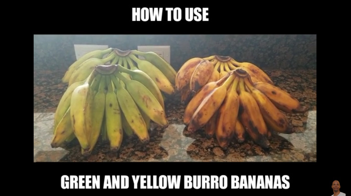 How to Use the Green and Yellow Burro Banana? Dr. Sebi Electric Alkaline Foods
