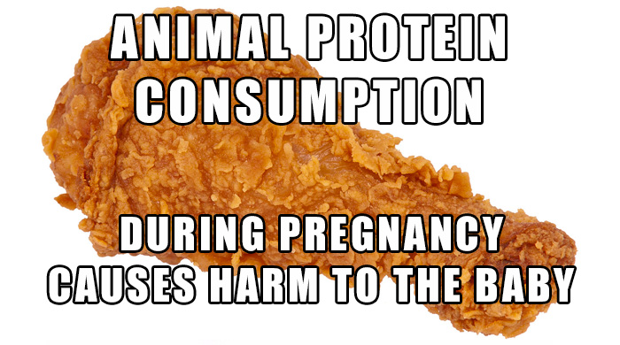Effect Of High Animal Protein On Pregnancy