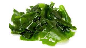 Wakame Seaweed Boosts Your Immune System Against Viruses Like Herpes