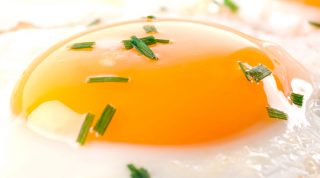 Egg Consumption Accelerates Cancer Growth