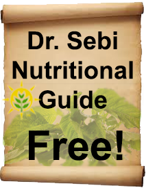 Animated Plant Based Diet Video