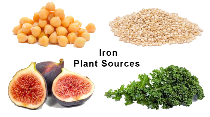Iron Plant Sources