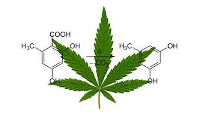 What Is Decarboxylation Of Cannabis And Why Do It?