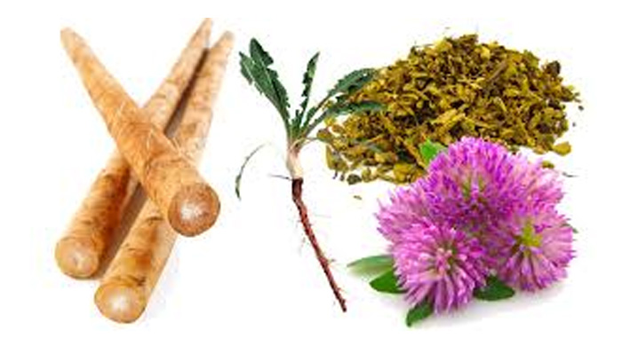Top Four Liver Detox Herbs - It is Quality Not Quantity